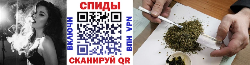 Купить  Пугачёв  Бутират BDO 
