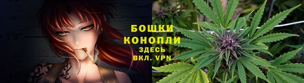 ECSTASY Горно-Алтайск
