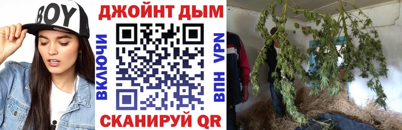 Марихуана план  Купить где  Пугачёв 